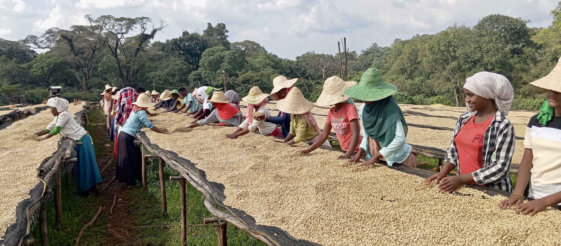 Kebena Trading